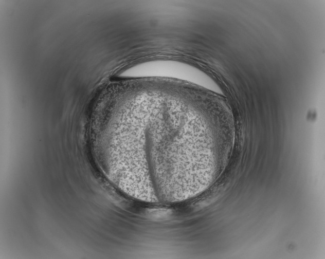 X0000090600266200708141337