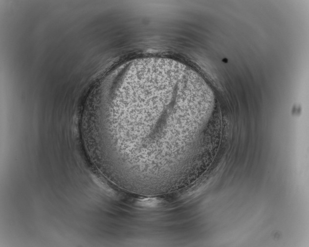 X0000090600269200708141337