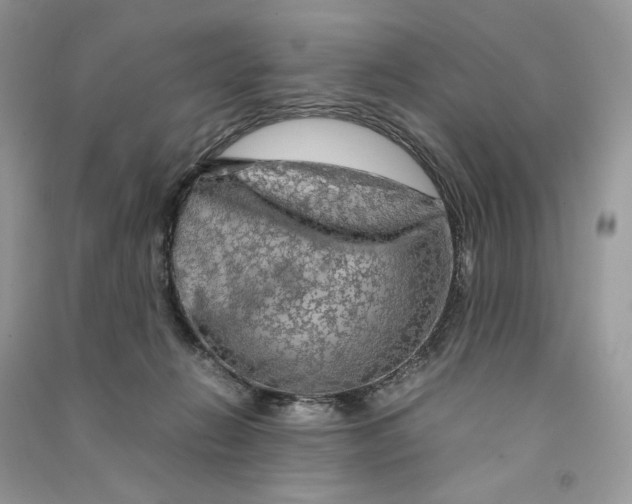 X0000090600270200708141337