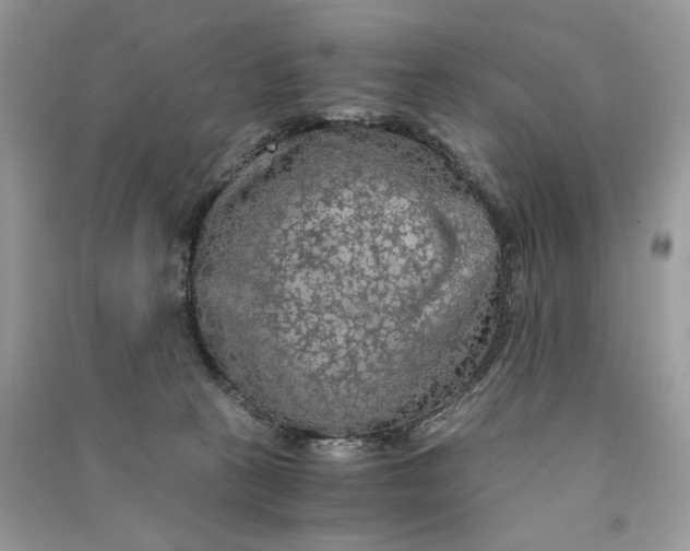 X0000090600273200708141337