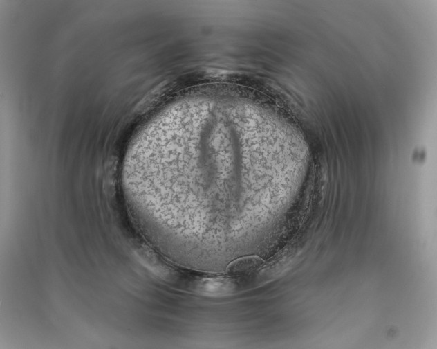 X0000090600275200708141337