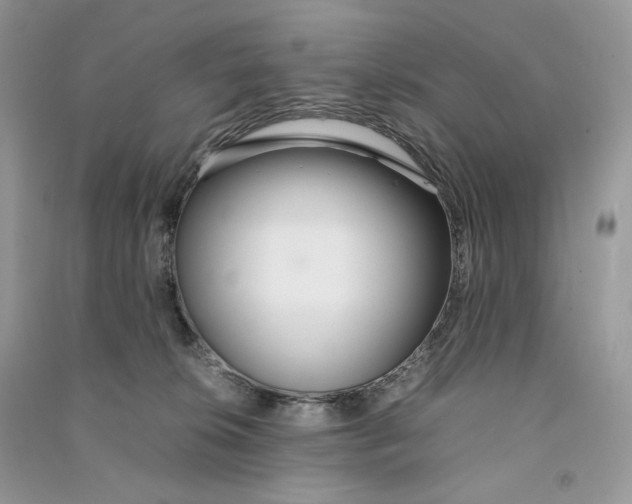 X0000090600276200708141337