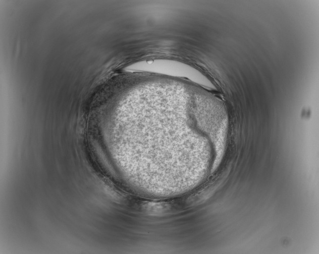 X0000090600277200708141337