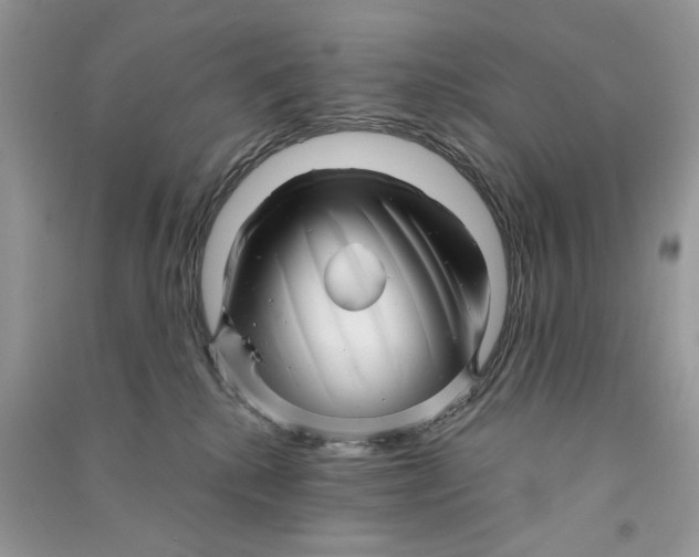 X0000090600280200708141337