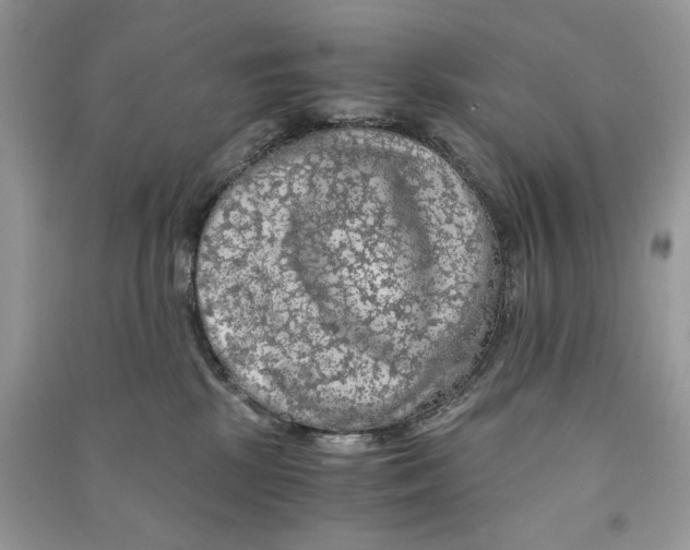 X0000090600281200708141337