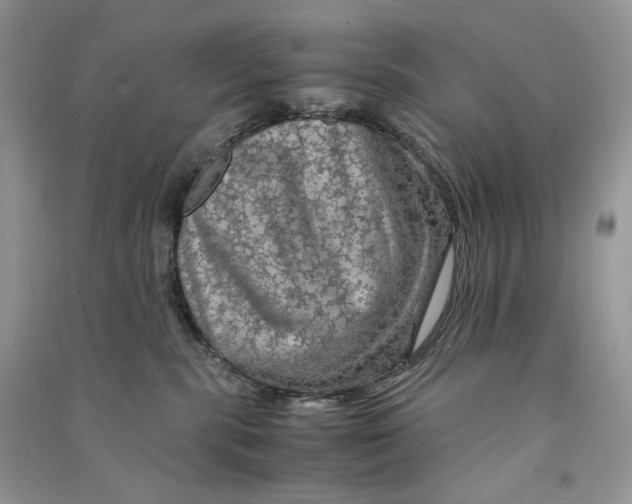 X0000090600283200708141337