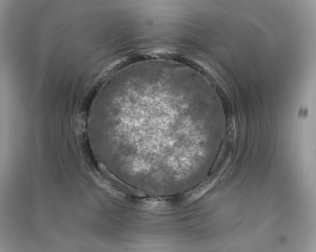 X0000090600284200708141337