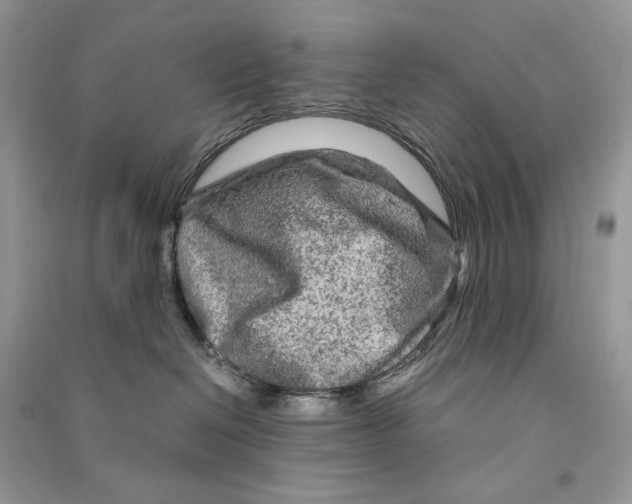 X0000090600286200708141337