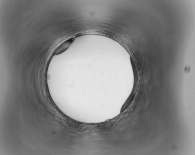 X0000090600289200708141336