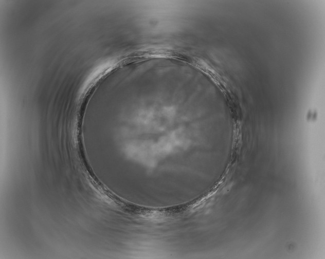 X0000090600293200708141336