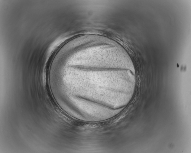 X0000090600294200708141336