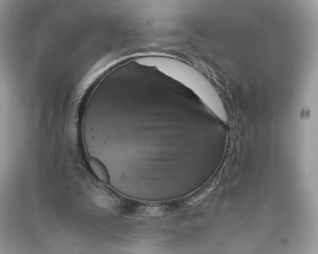 X0000090600295200708141336