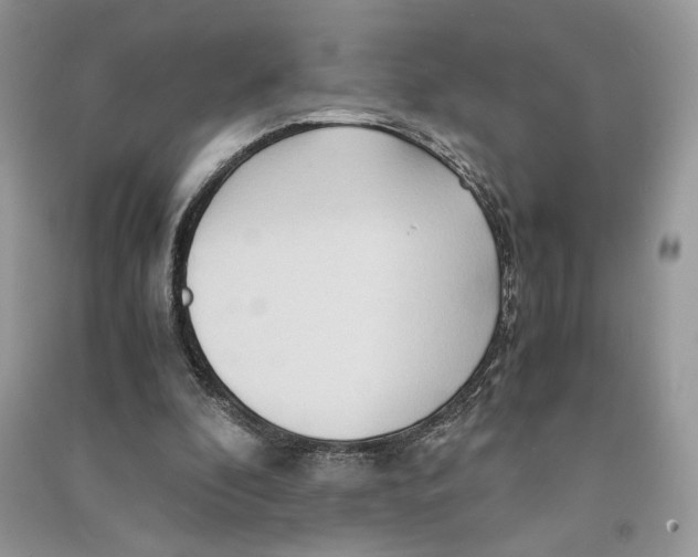 X0000090600296200708141336