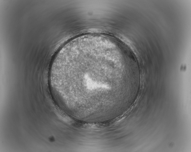 X0000090600297200708141336