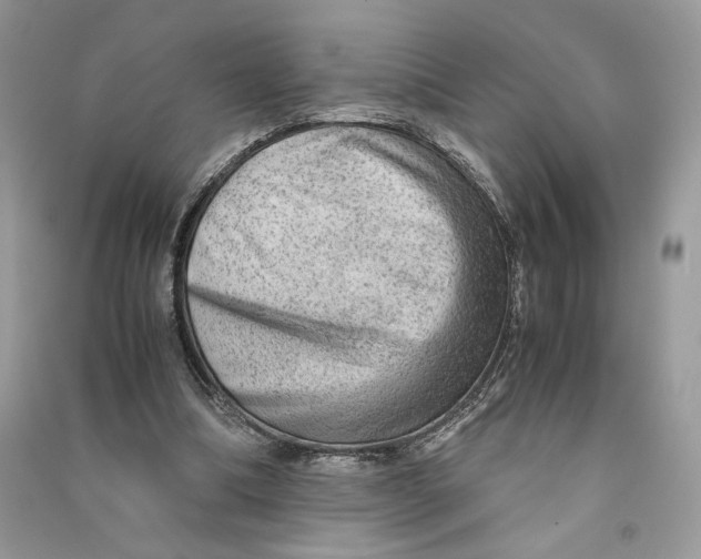 X0000090600298200708141336