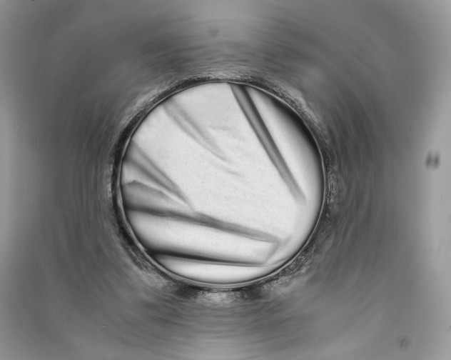 X0000090600299200708141336