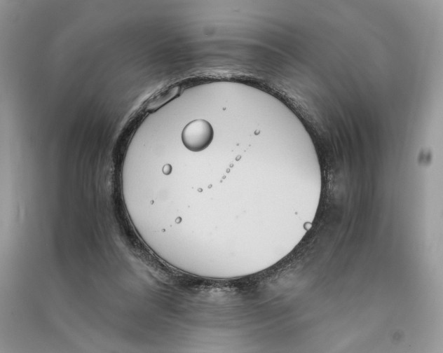 X0000090600304200708141336