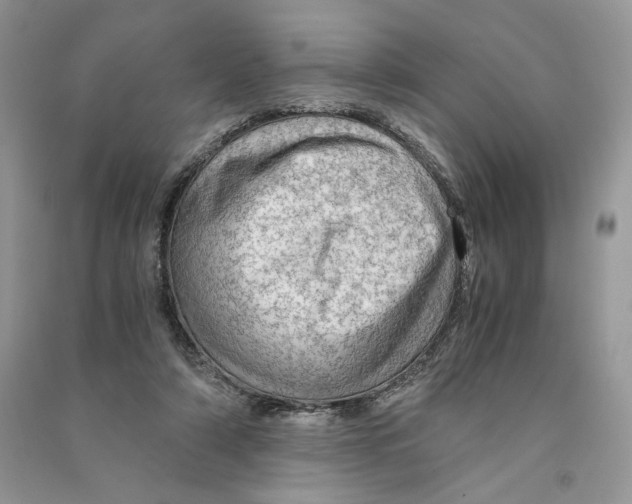 X0000090600306200708141336