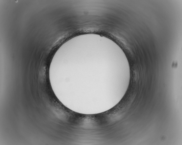 X0000090600308200708141336