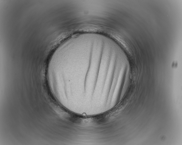 X0000090600309200708141336