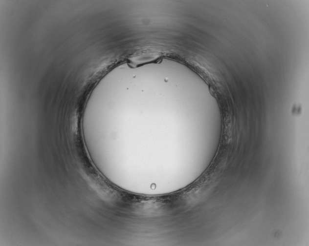 X0000090600310200708141336