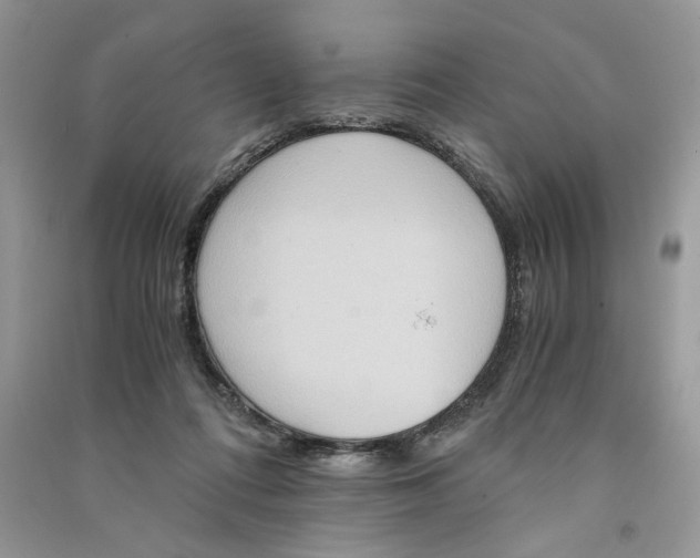 X0000090600312200708141336