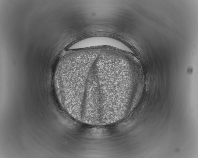 X0000090600314200708141336