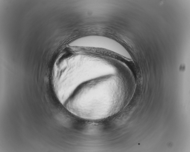 X0000090600315200708141336