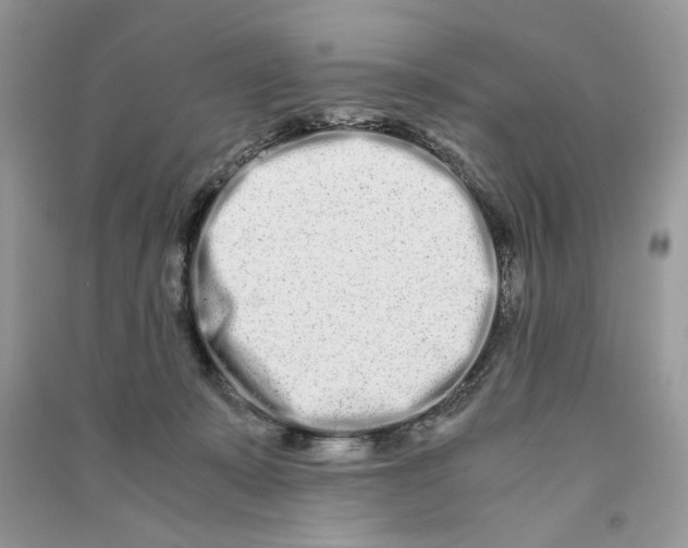 X0000090600319200708141336