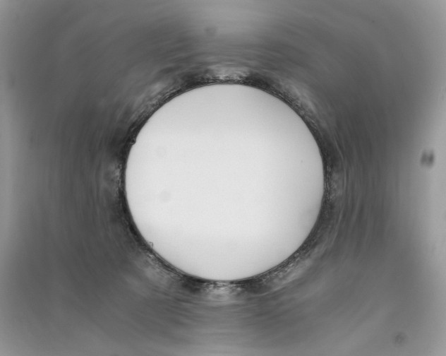 X0000090600321200708141336