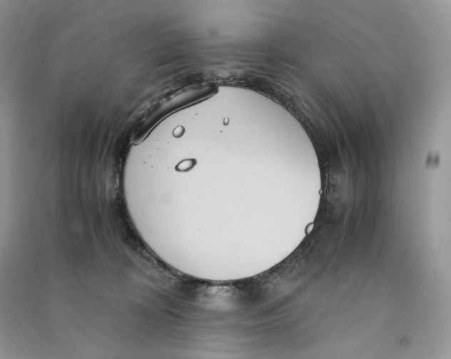 X0000090600324200708141336