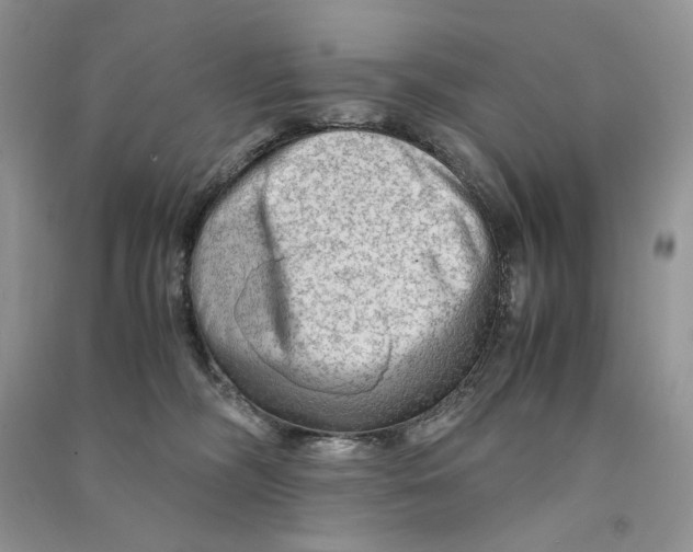 X0000090600326200708141336