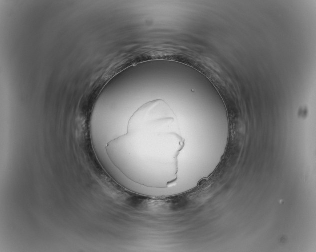 X0000090600327200708141336