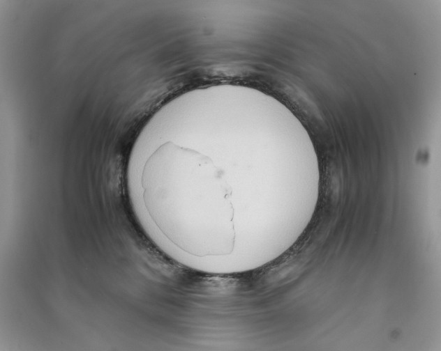 X0000090600328200708141336