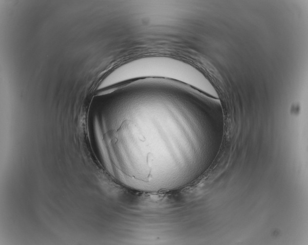 X0000090600329200708141336