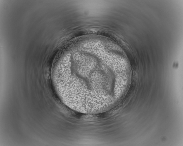 X0000090600331200708141336