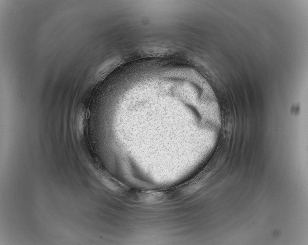 X0000090600334200708141336