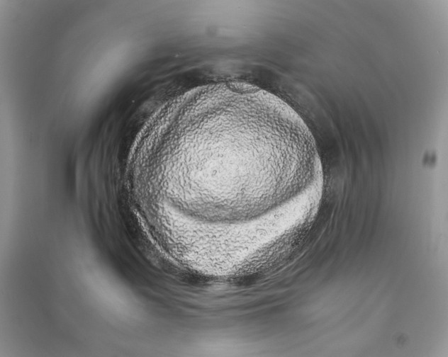 X0000090600335200708141336