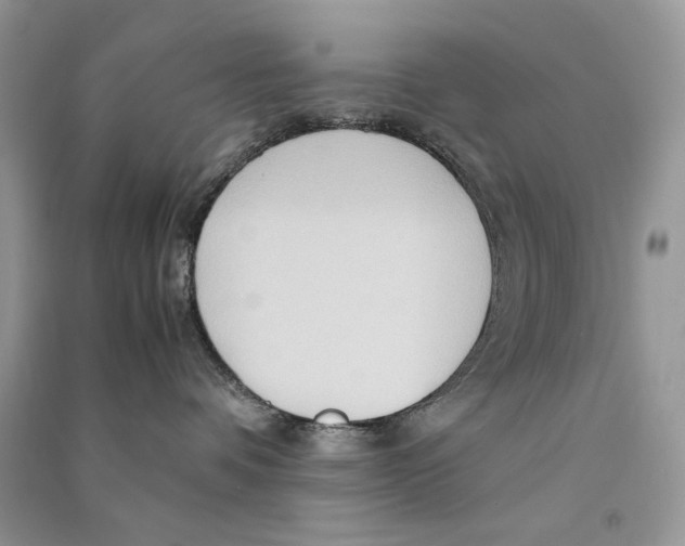 X0000090600336200708141336