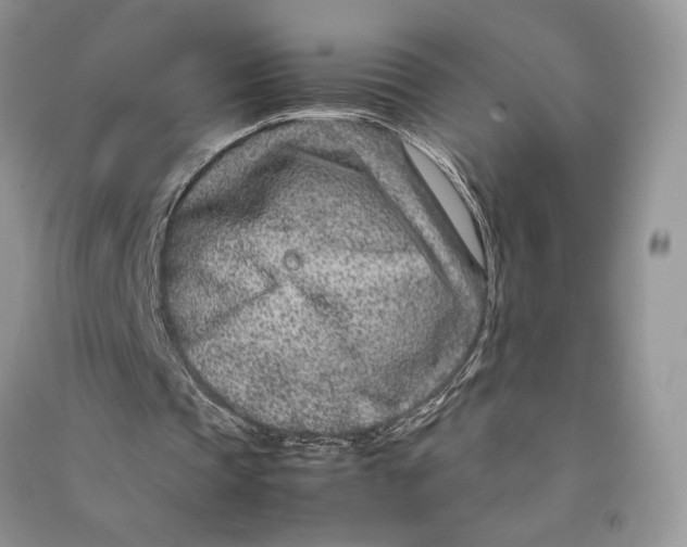 X0000090600337200708141335