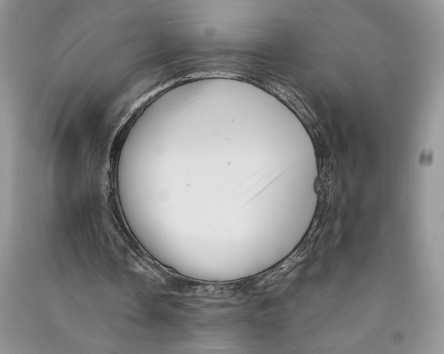 X0000090600338200708141335