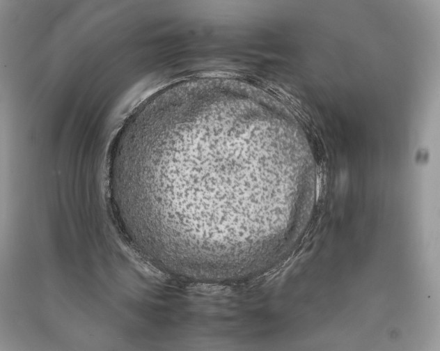 X0000090600339200708141335