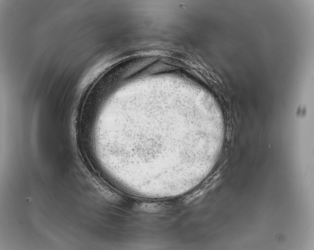 X0000090600341200708141335