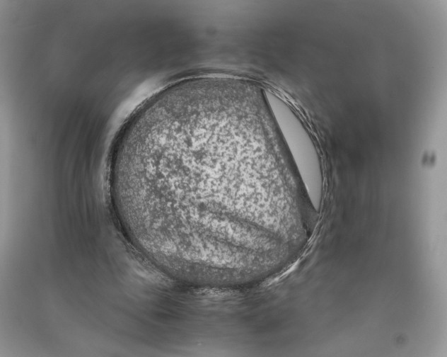 X0000090600343200708141335