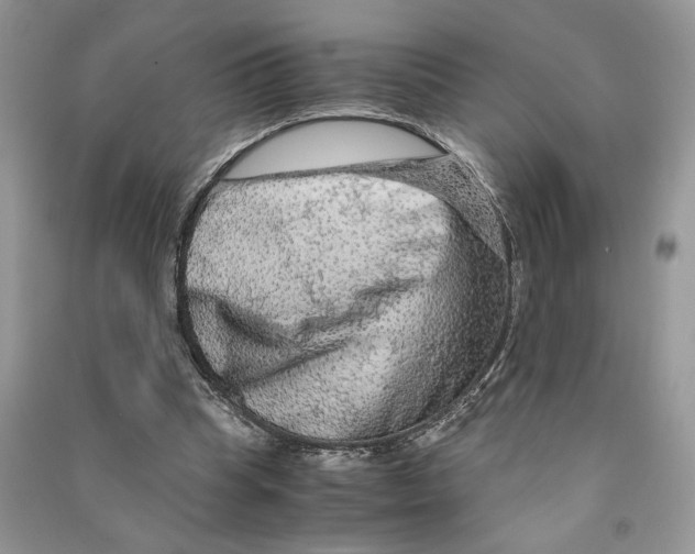 X0000090600345200708141335