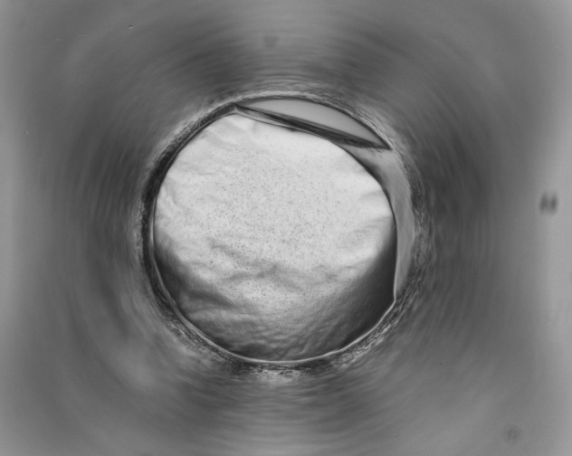 X0000090600346200708141335