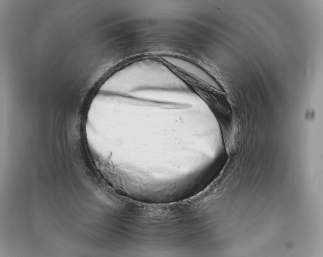 X0000090600347200708141335