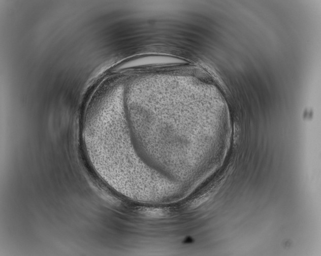 X0000090600349200708141335