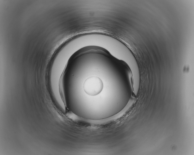 X0000090600350200708141335