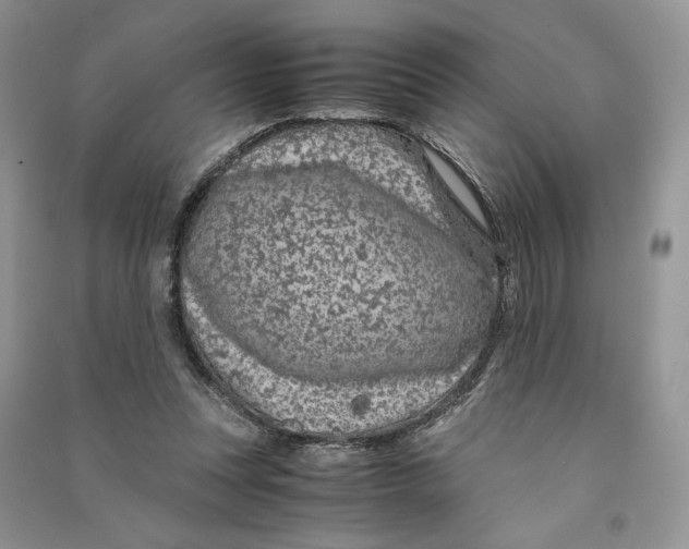 X0000090600351200708141335